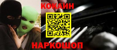 индика Гатчина
