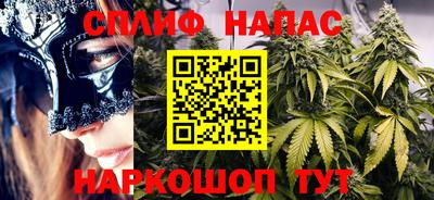 МДПВ Гусев