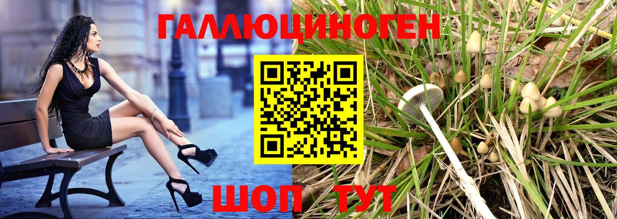 Галлюциногенные грибы Cubensis Снежинск