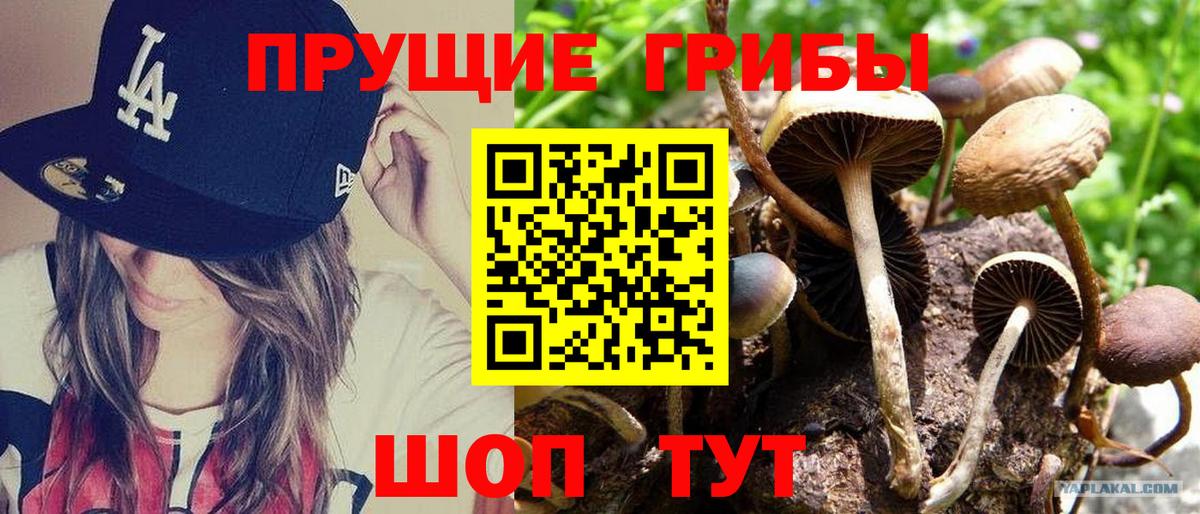 Снежинск  Галлюциногенные грибы мицелий  Вход с VPN 
